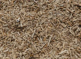 Close-up van lichte houtsnippers als bodembedekking in de tuin
