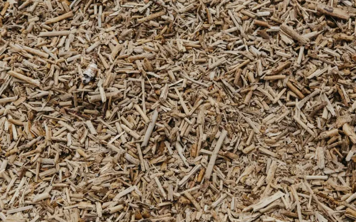Close-up van lichte houtsnippers als bodembedekking in de tuin