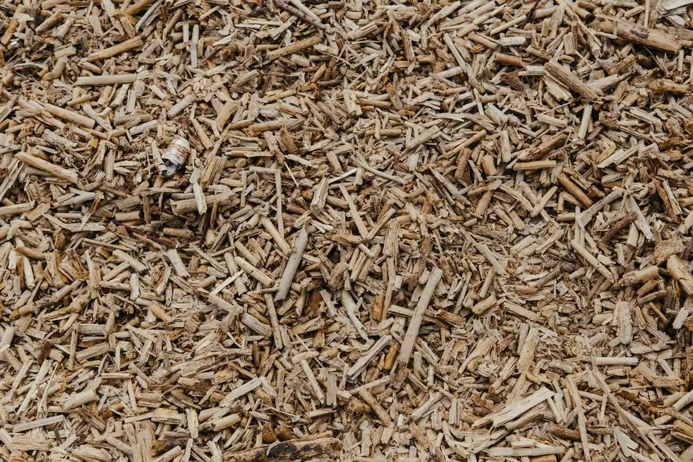 Close-up van lichte houtsnippers als bodembedekking in de tuin