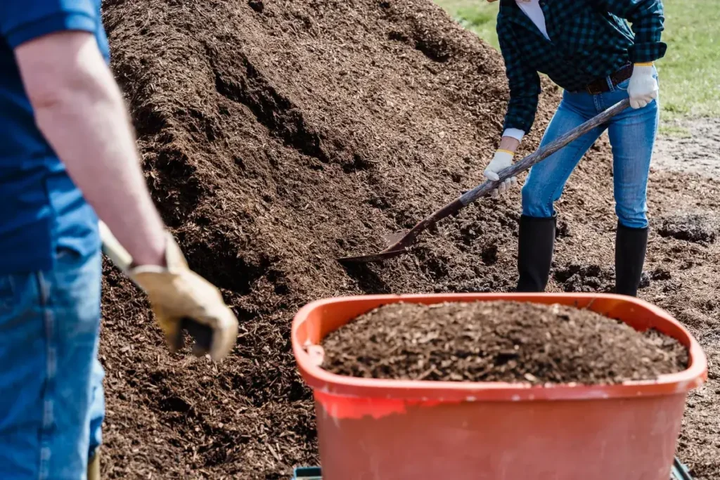 Moestuin met donkere grond en compost in het voorjaar