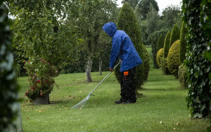 Bladeren van het gazon harken bij het tuin winterklaar maken