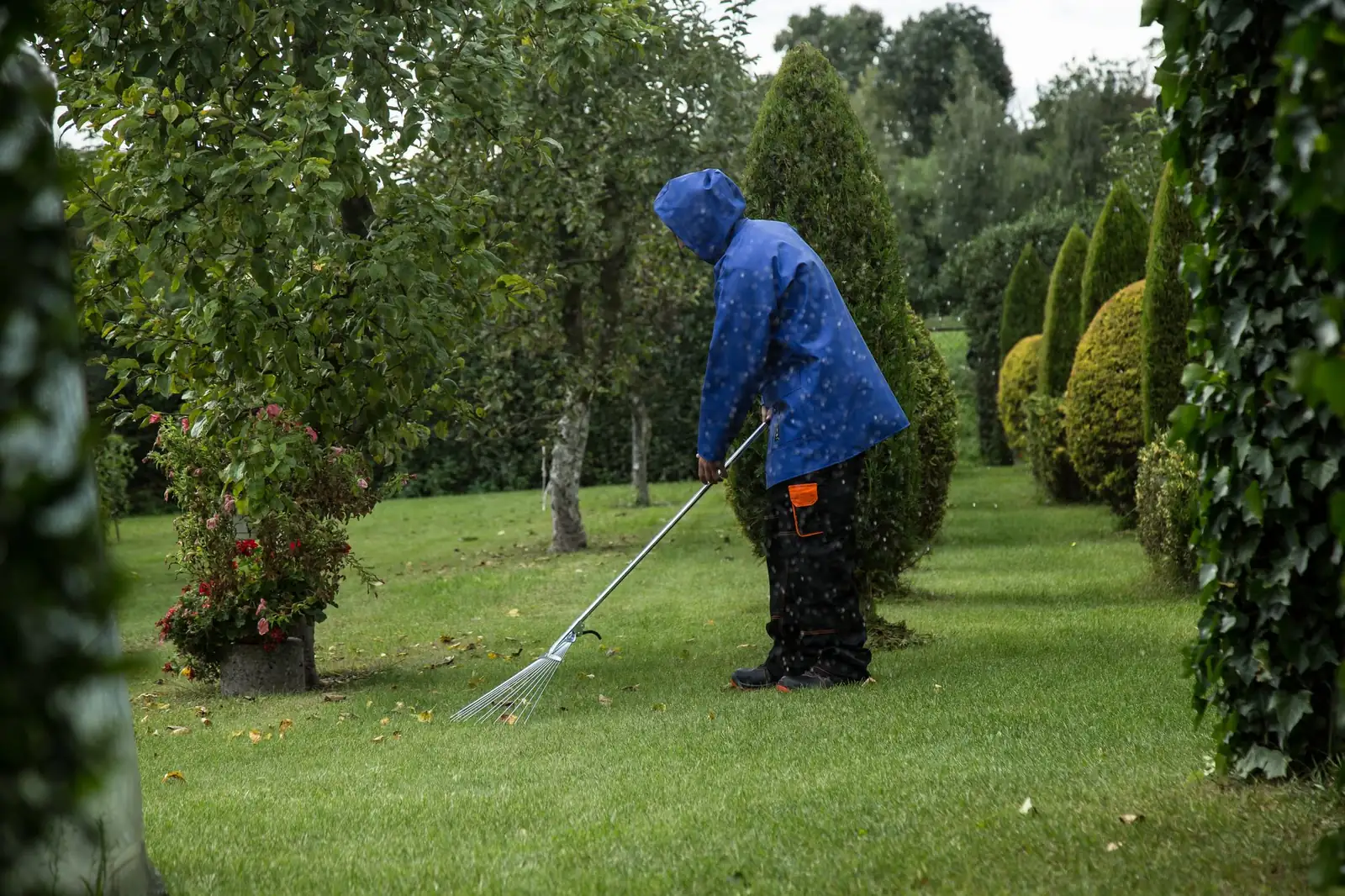 Bladeren van het gazon harken bij het tuin winterklaar maken